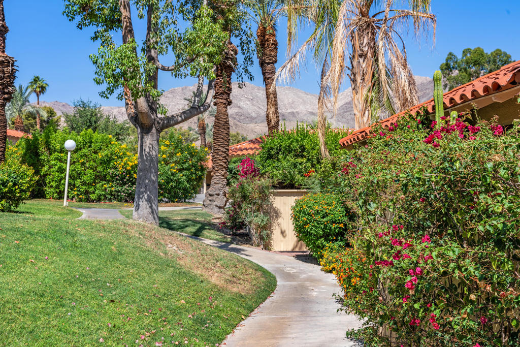 72917 Arthur Ashe Lane