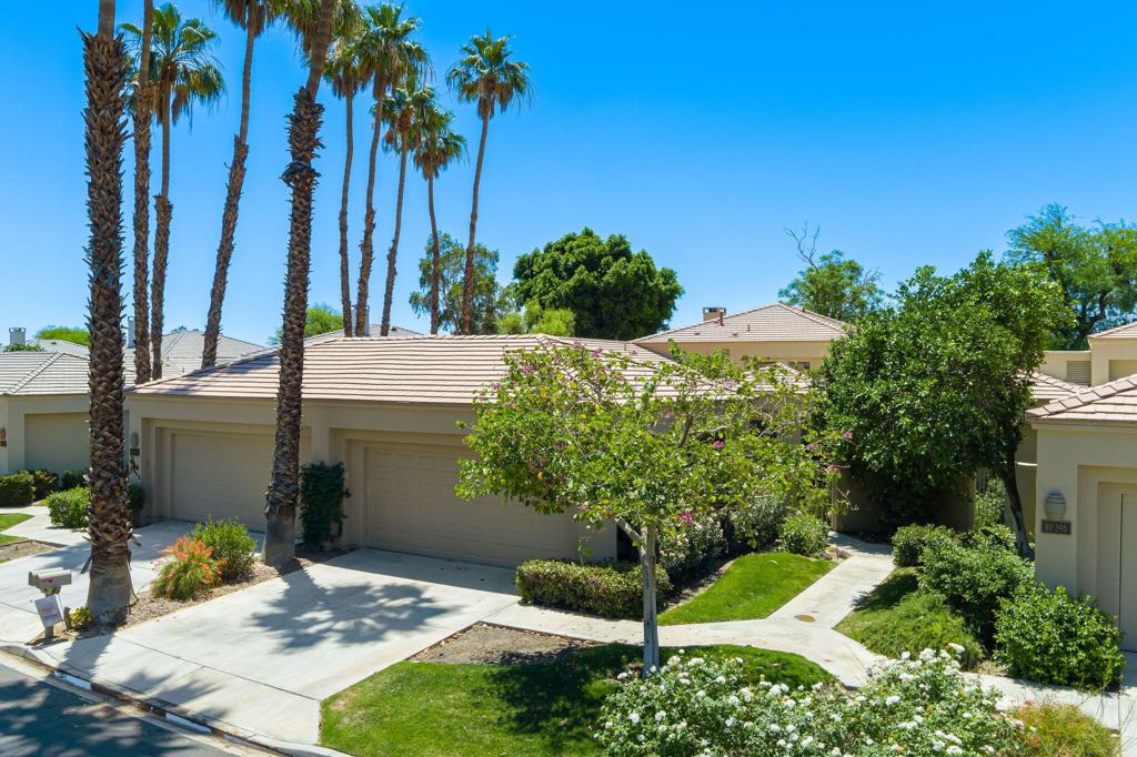 80601 Oak Tree