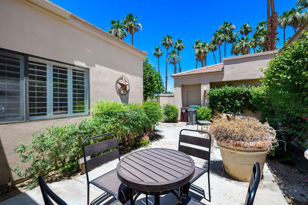 80601 Oak Tree