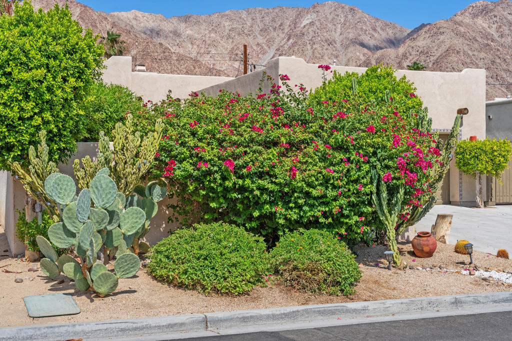 51905 Avenida Obregon