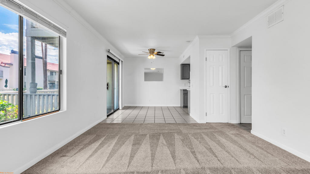 43376 Cook Street 161