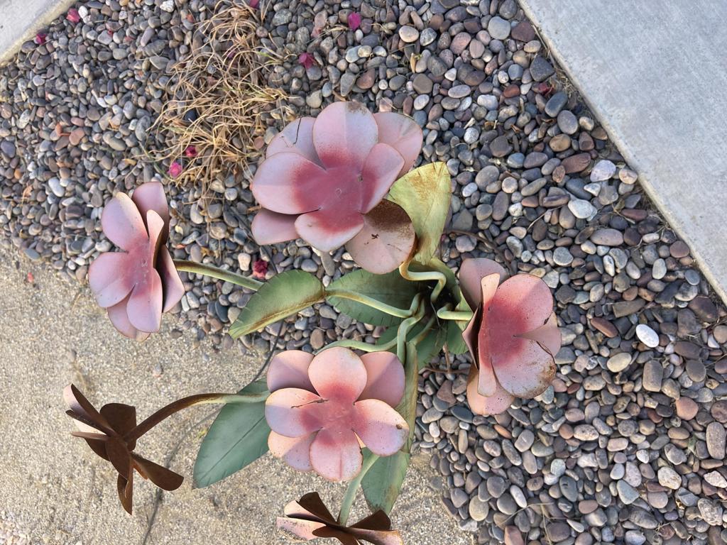 84136 Ave 44, 619 619