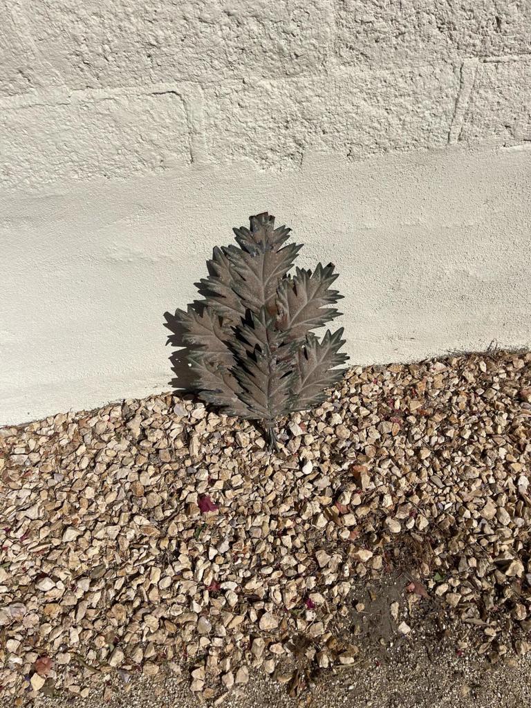 84136 Ave 44, 619 619