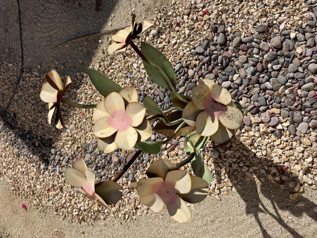 84136 Ave 44, 619 619