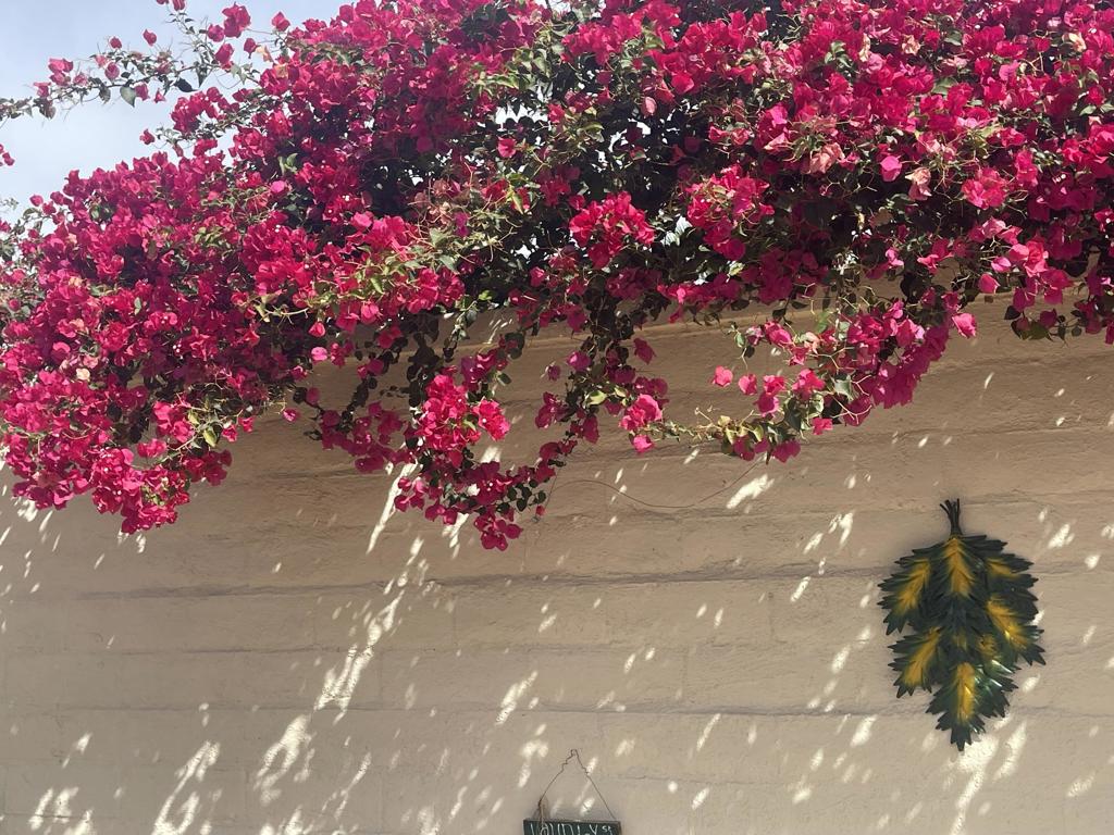 84136 Ave 44, 619 619