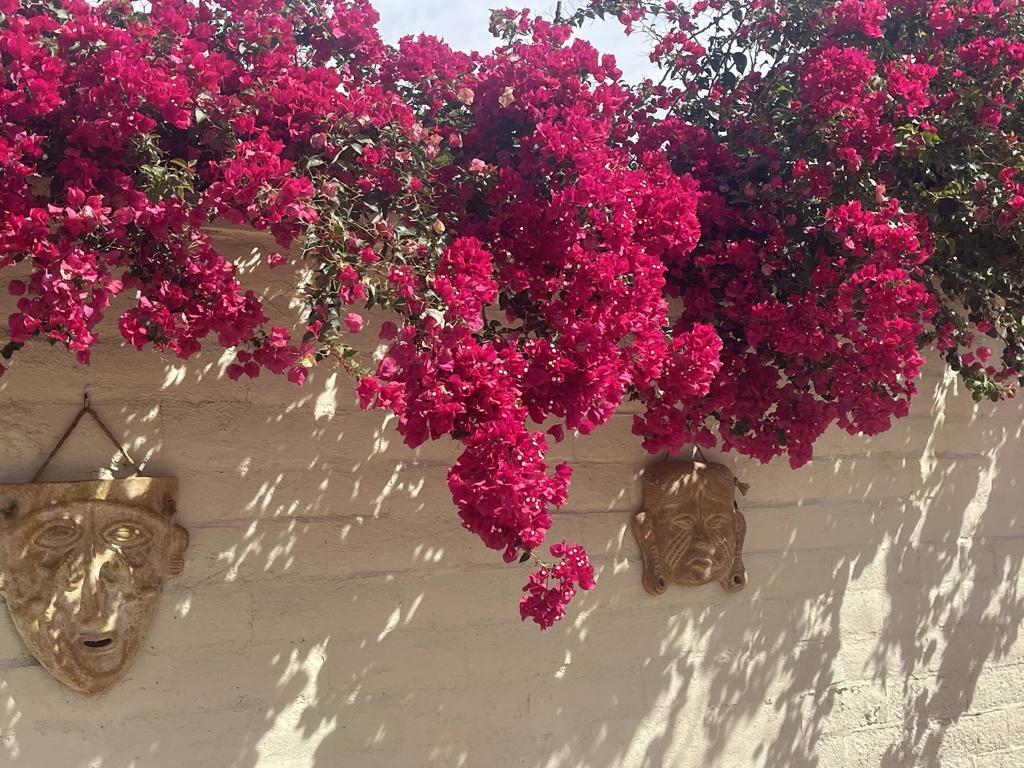 84136 Ave 44, 619 619