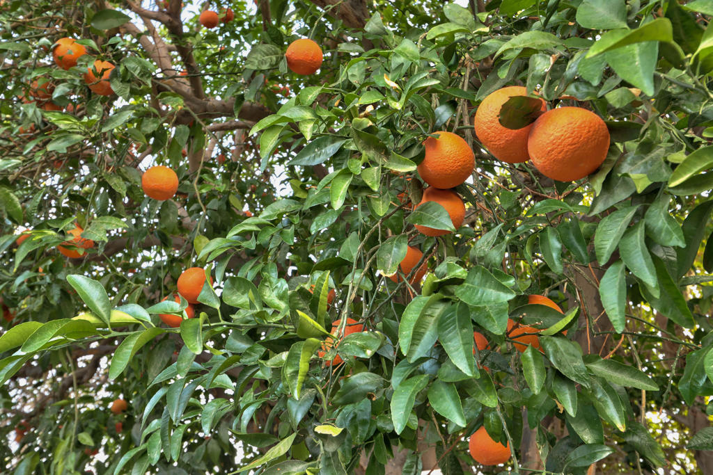 29660 Avenida La Vista Vista