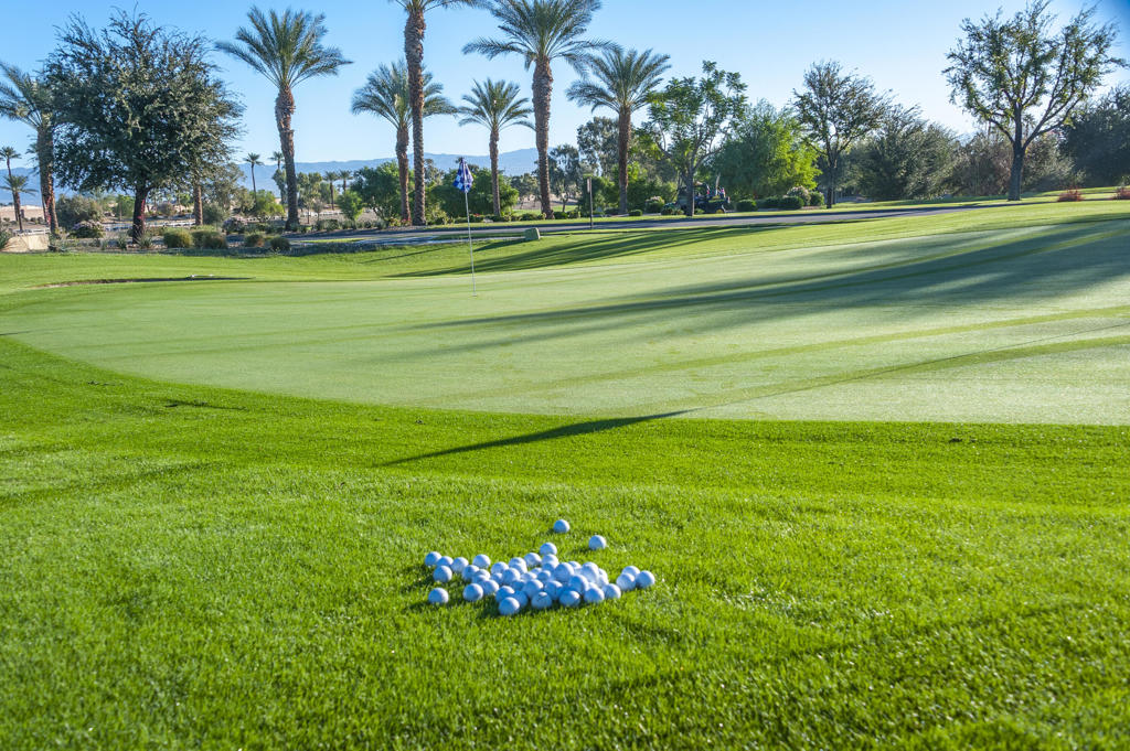 81945 Golden Star Way