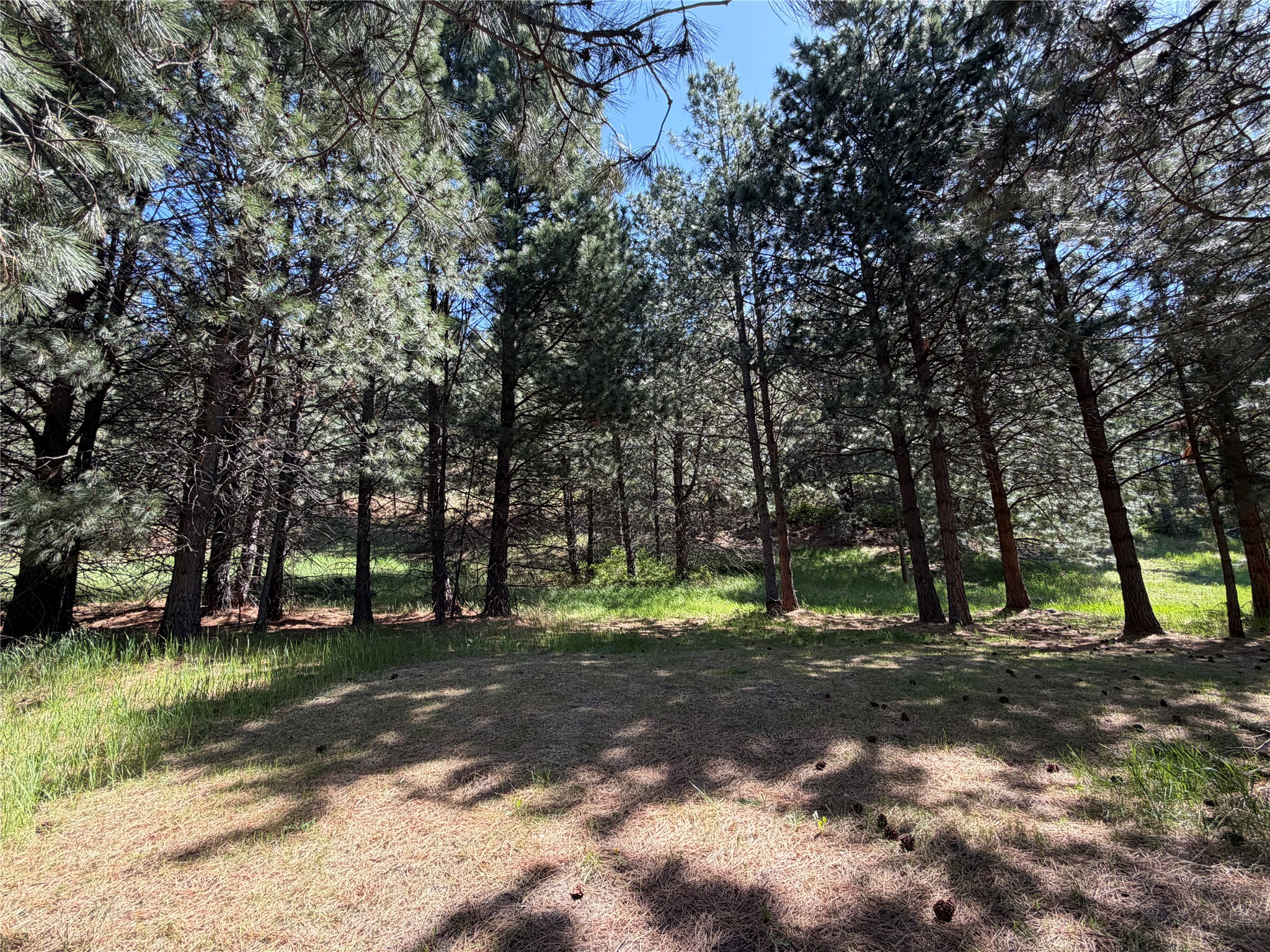 TBD Highway 35