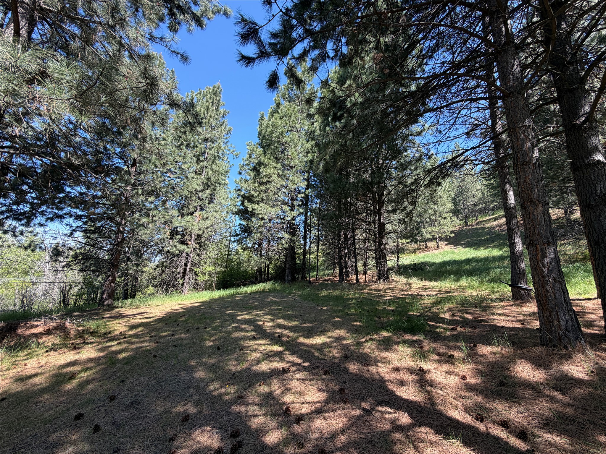 TBD Highway 35