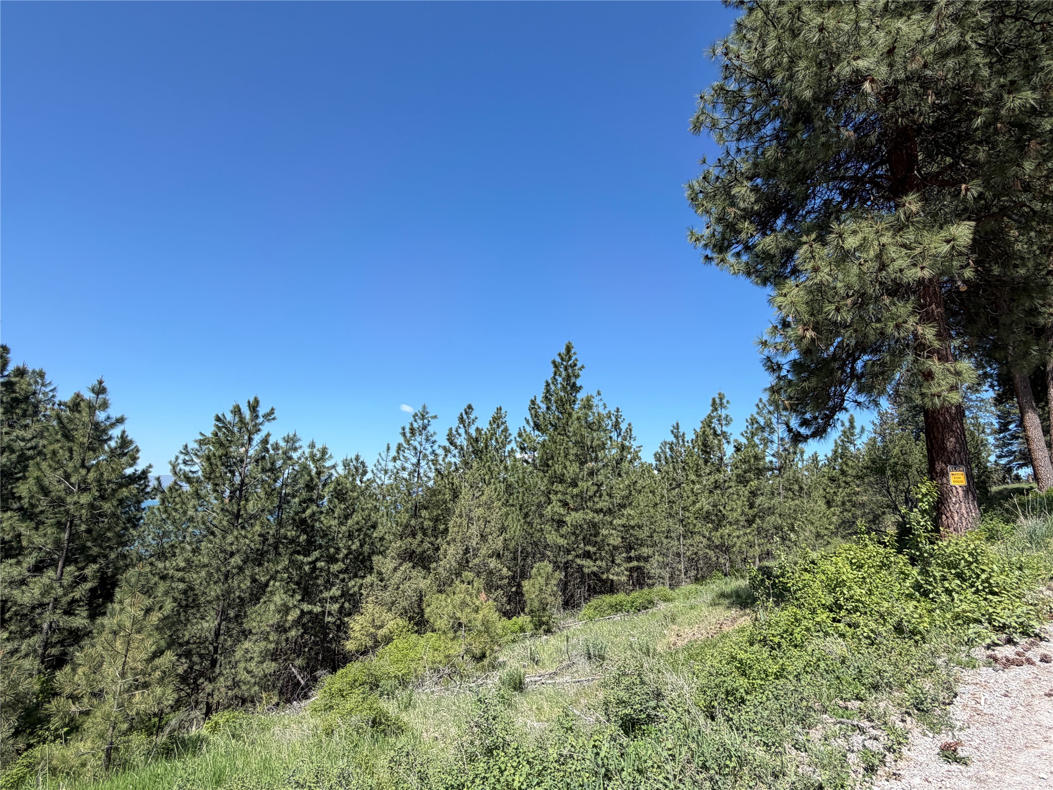 TBD Highway 35