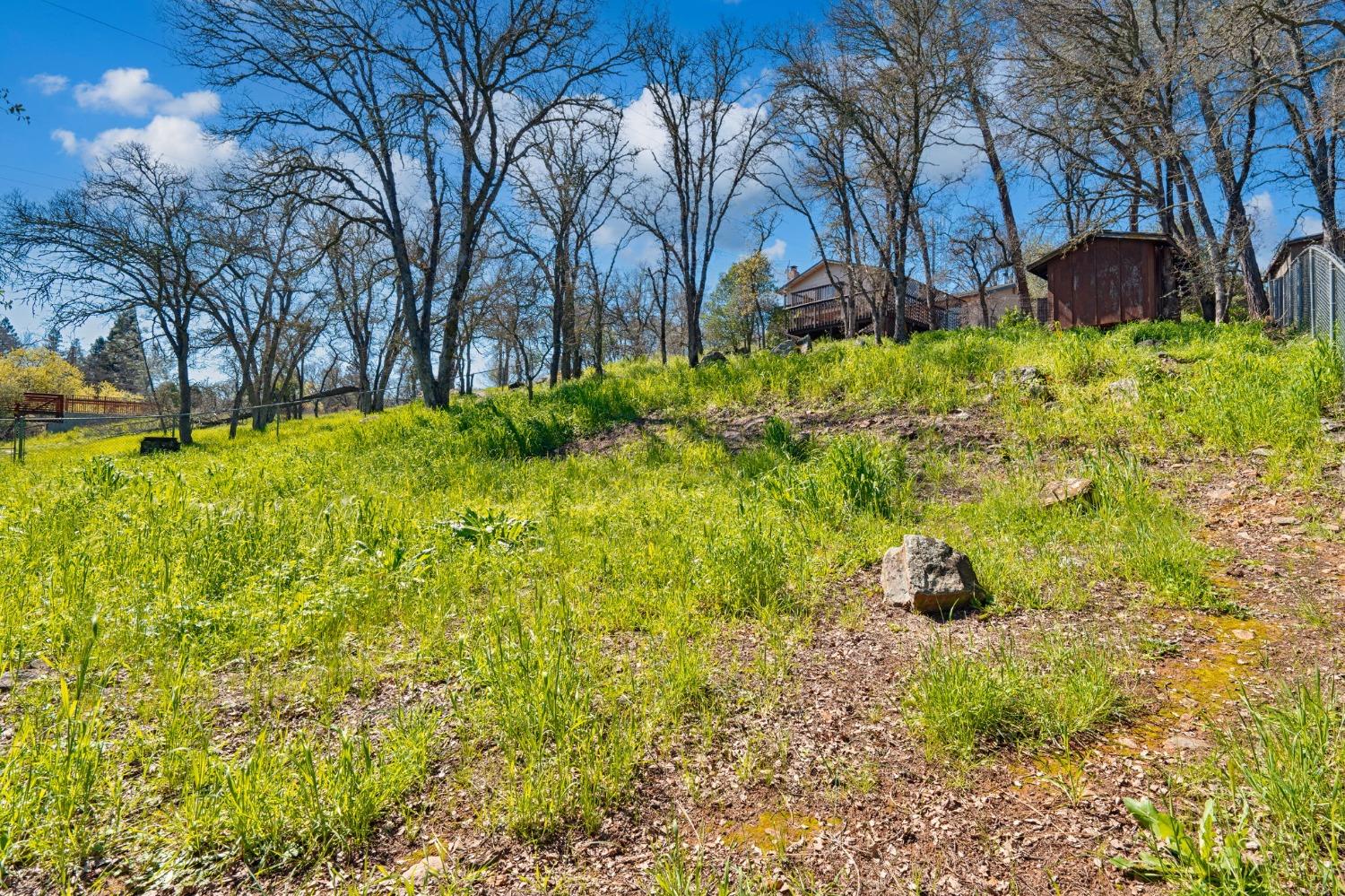 2731 Tam O Shanter Drive