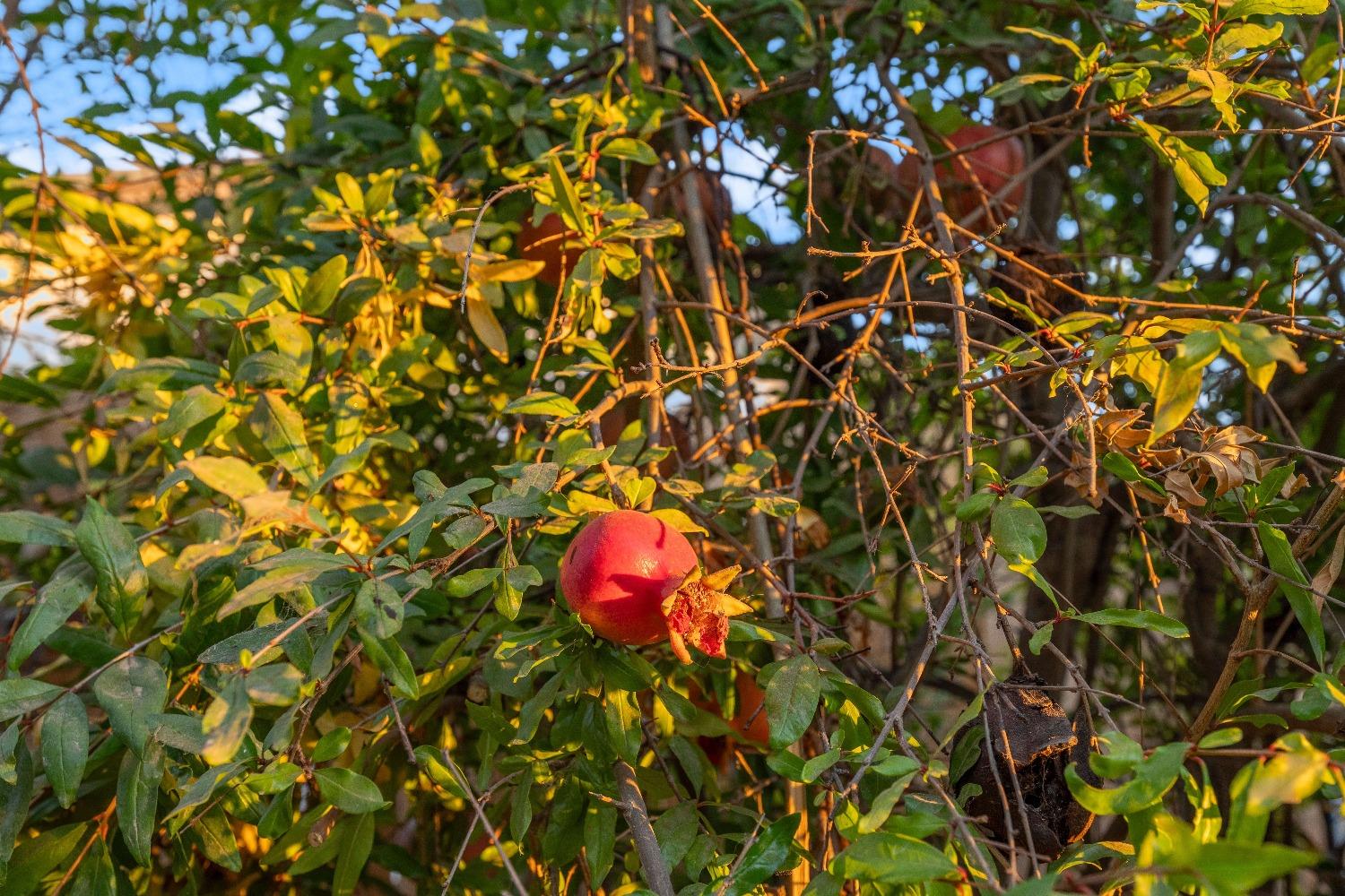 18887 N Coquille Drive