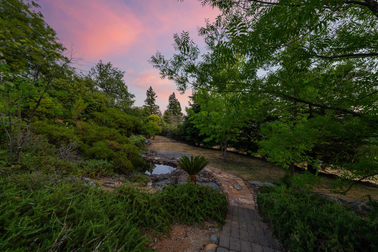 3433 Surry Lane