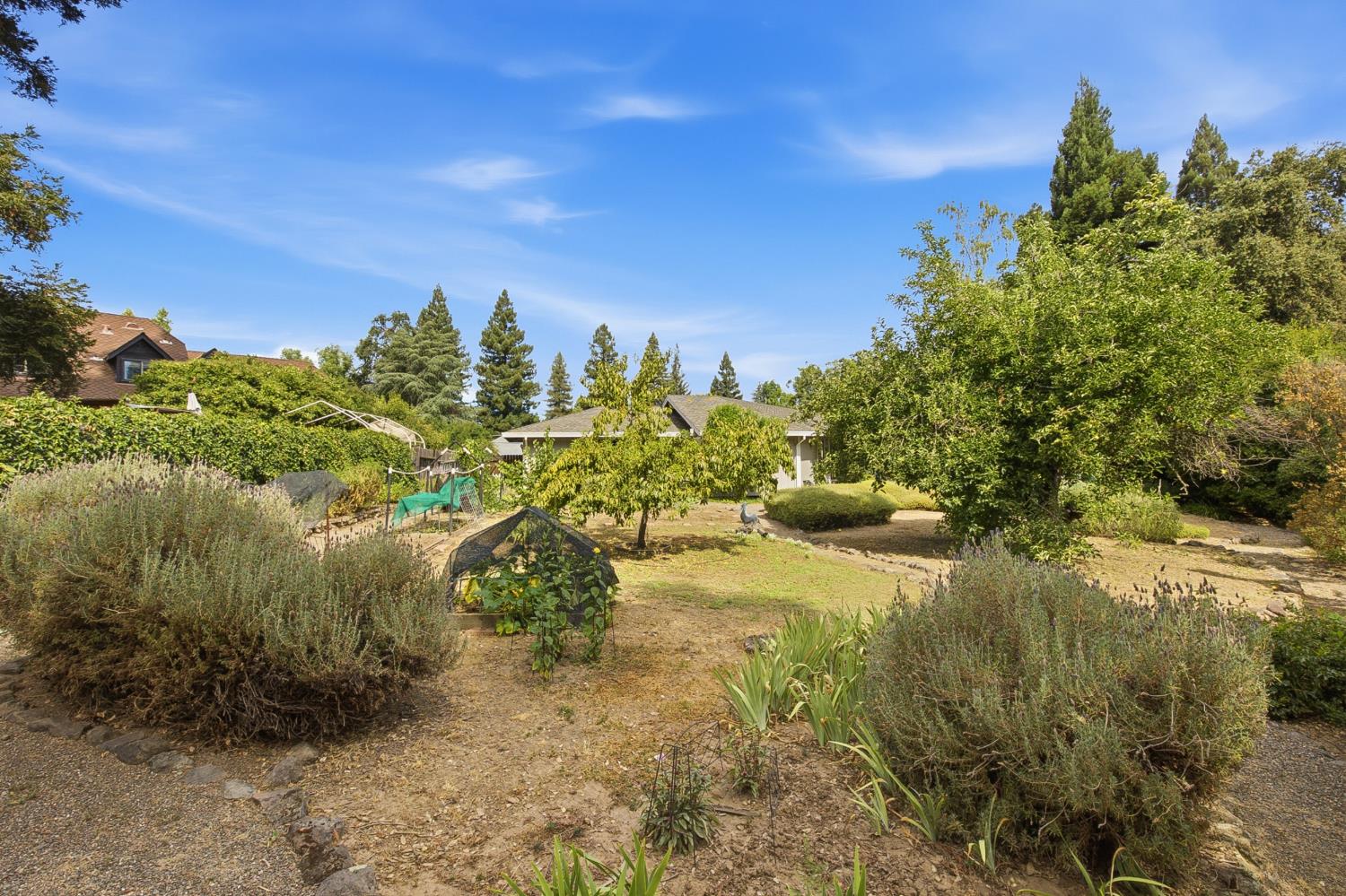 5434 Southolm Court