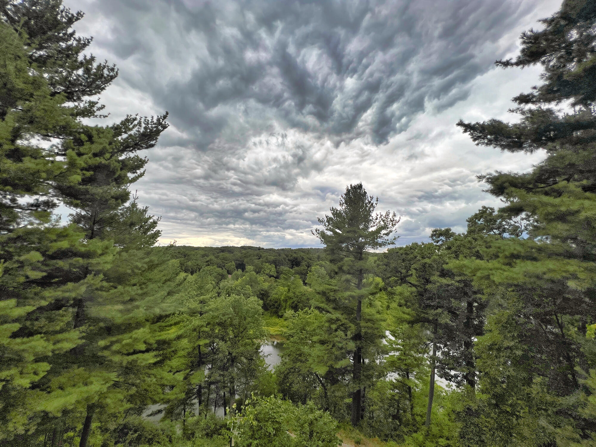 2100 Timber Point Drive SE