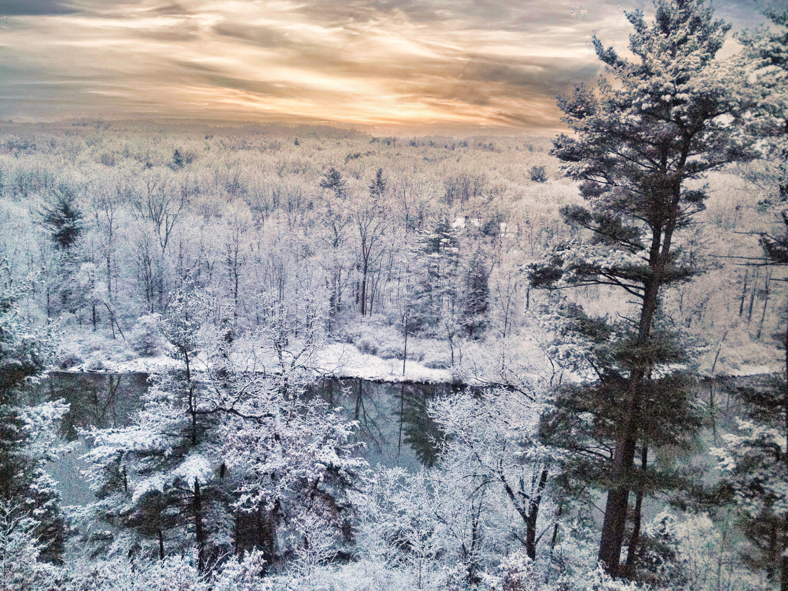 2100 Timber Point Drive SE