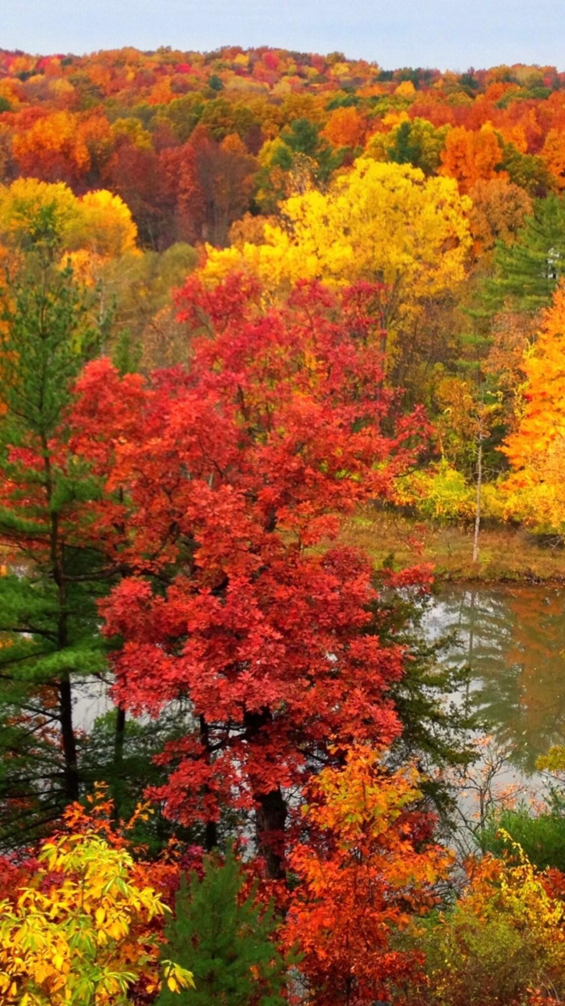 2100 Timber Point Drive SE