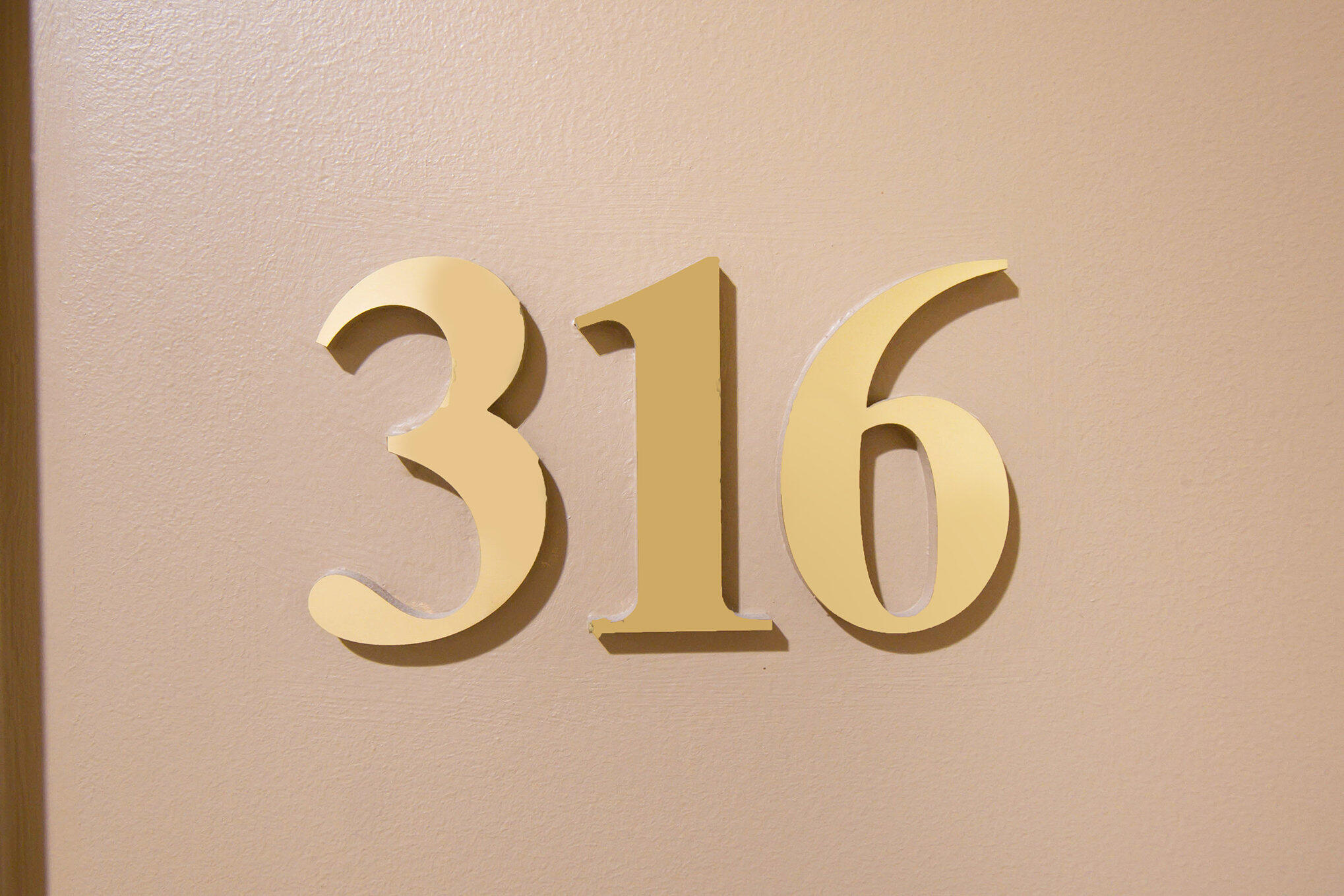 220 Mac Avenue, 316