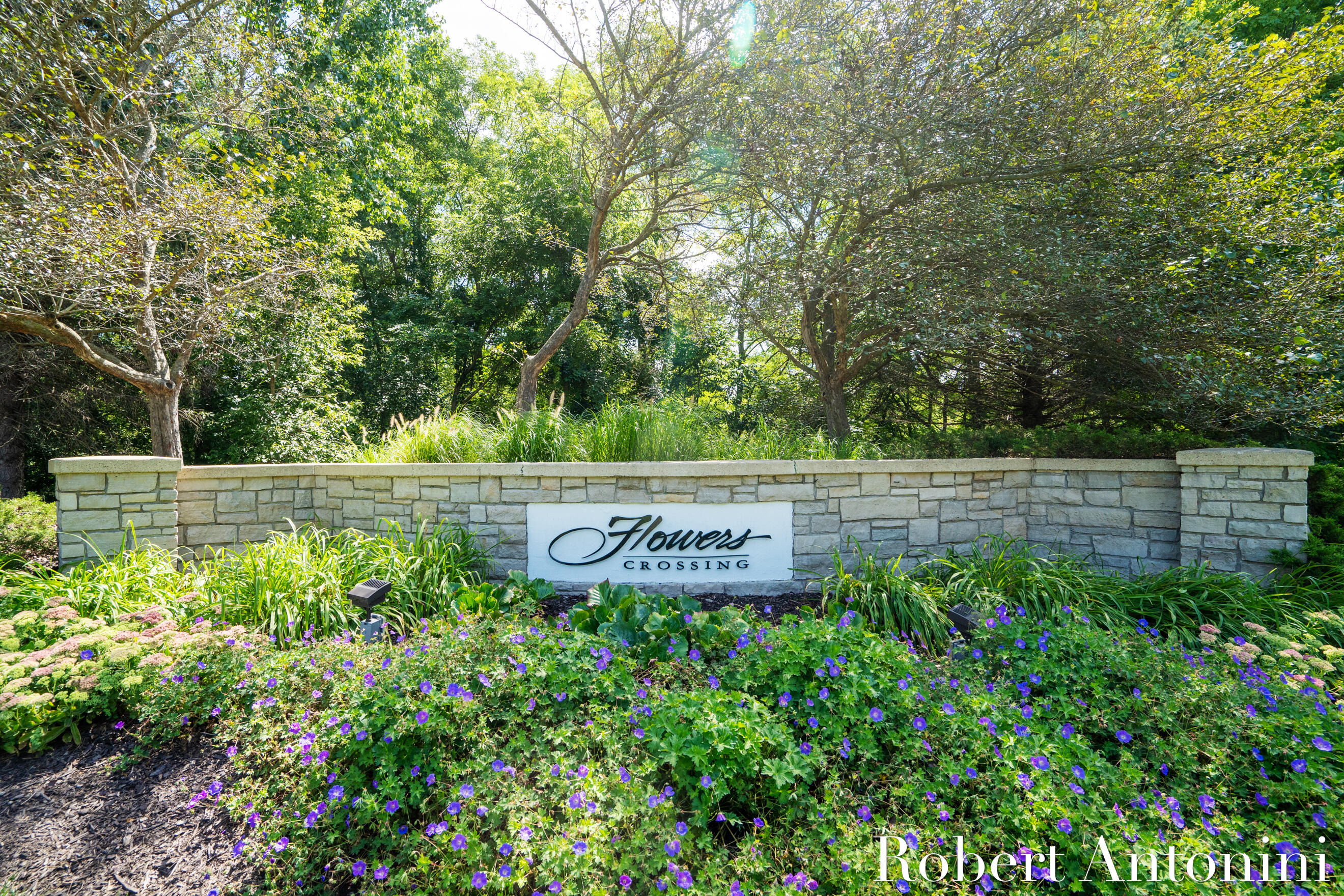 3860 Foxglove Court NE