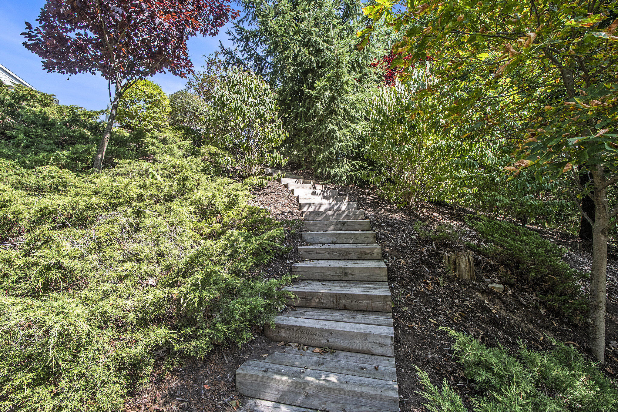 2968 Overlook Summit Drive