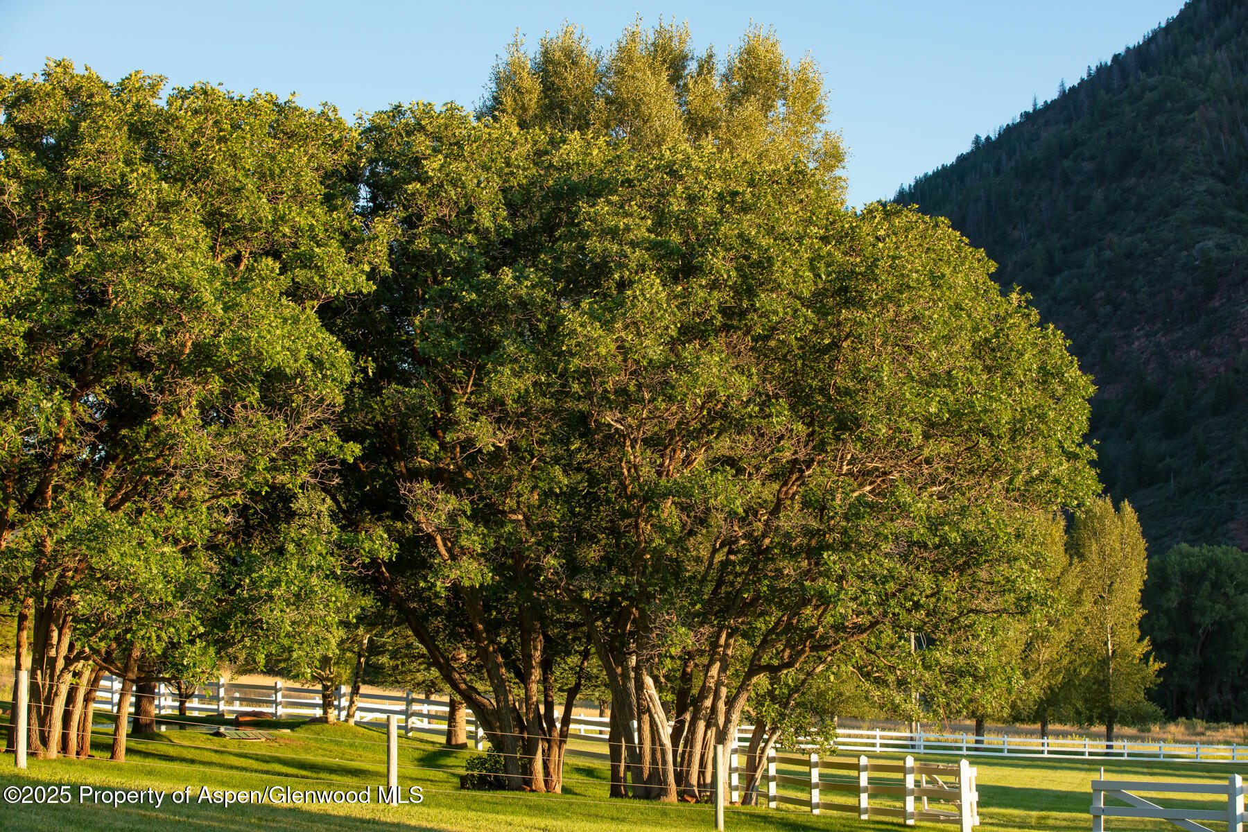 Tbd Lower River Road