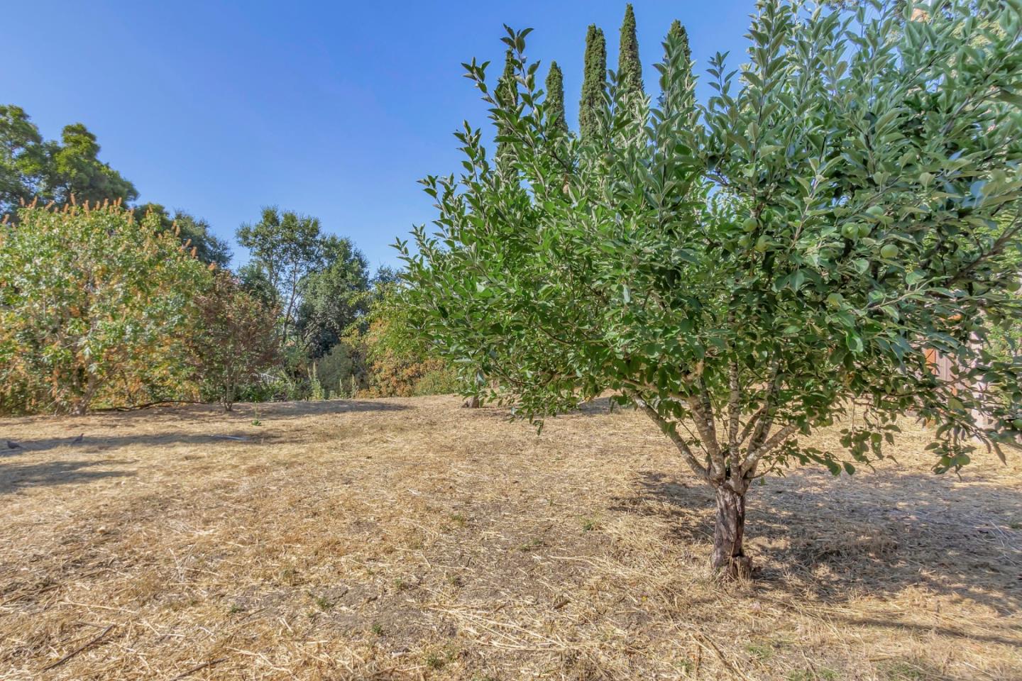 10640 E Estates Drive
