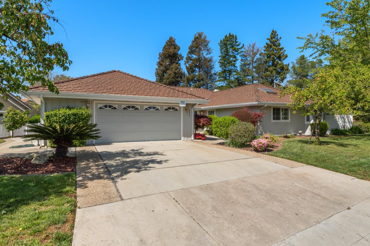 8047 Chardonay CT