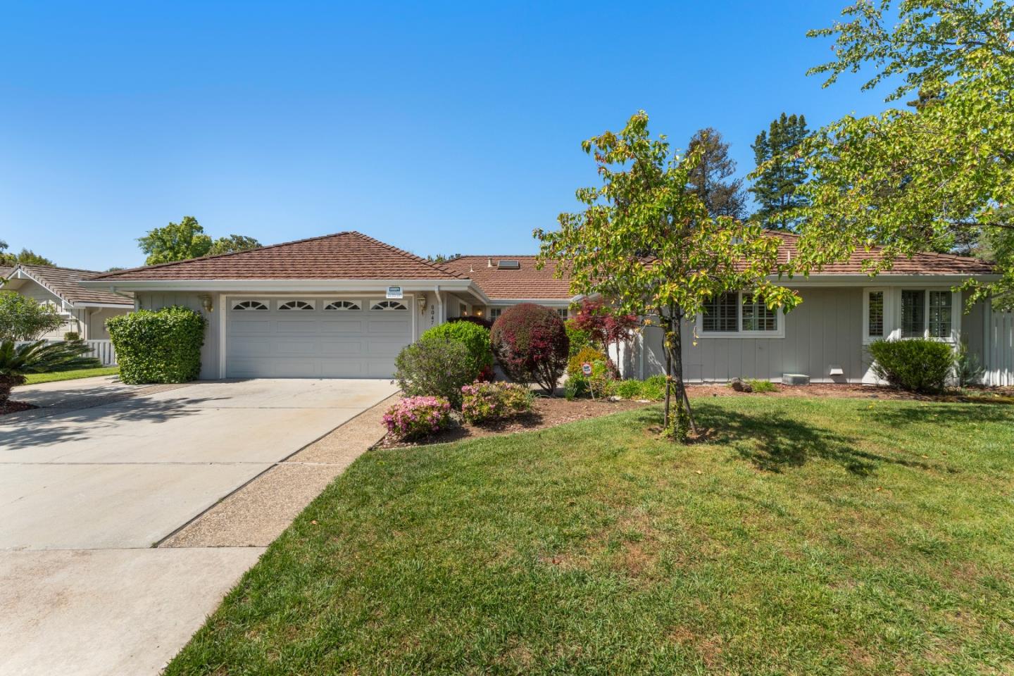 8047 Chardonay CT