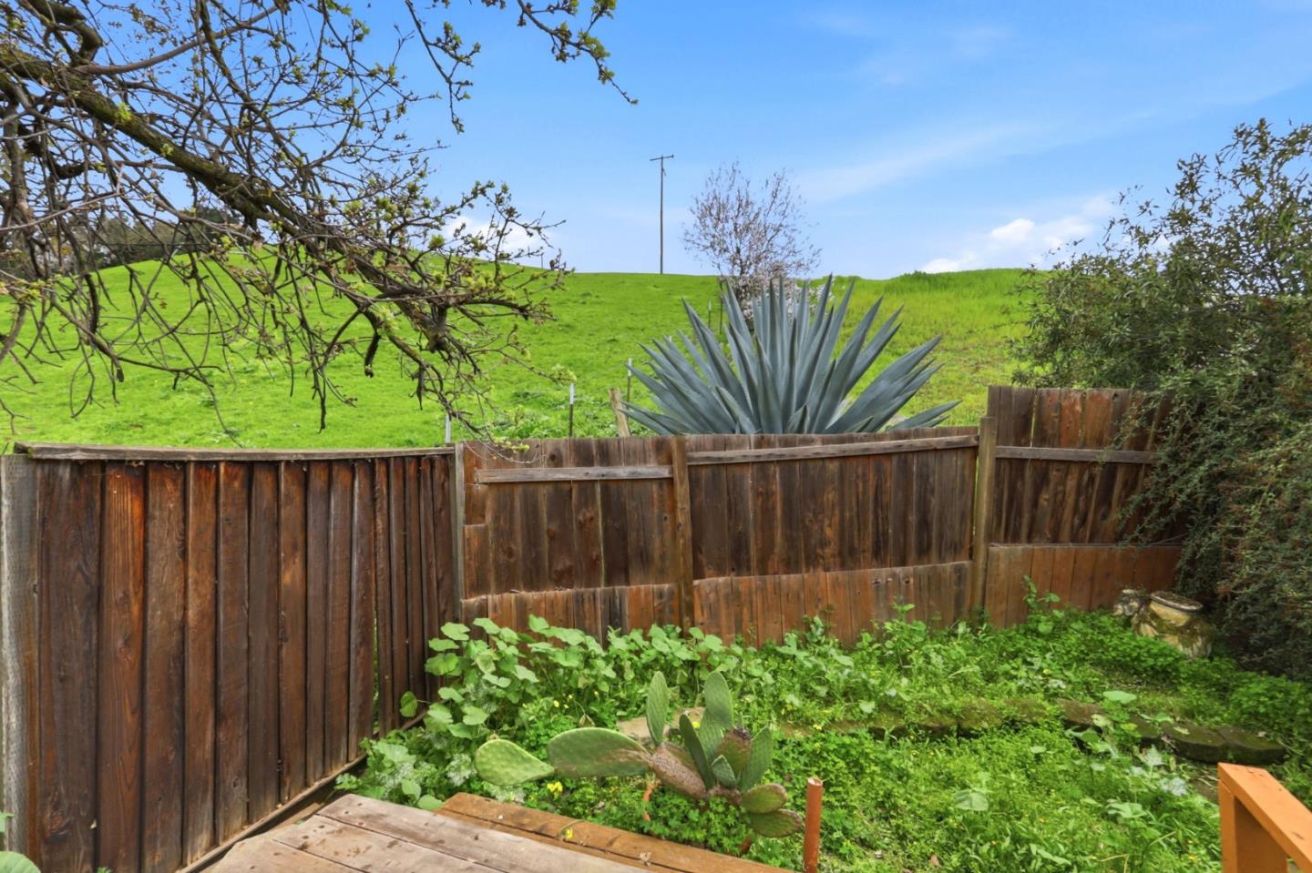 1578 Salmon Creek Court