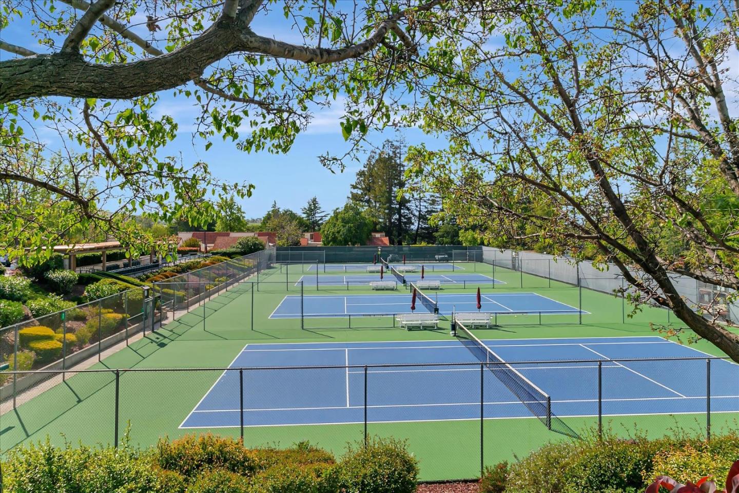 8336 Colombard Court