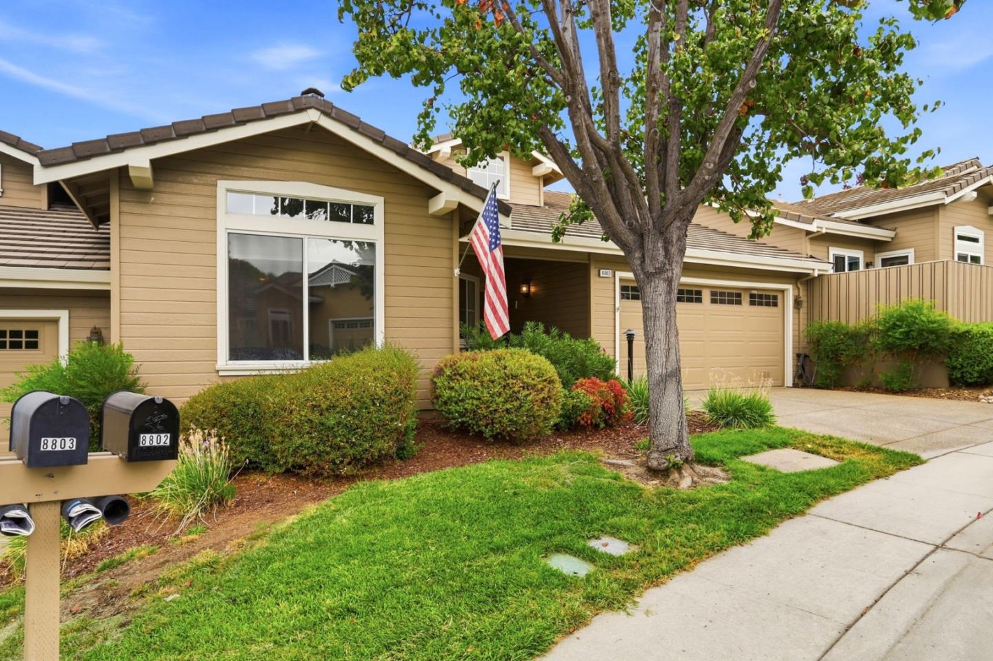 8803 Grape Wagon CIR