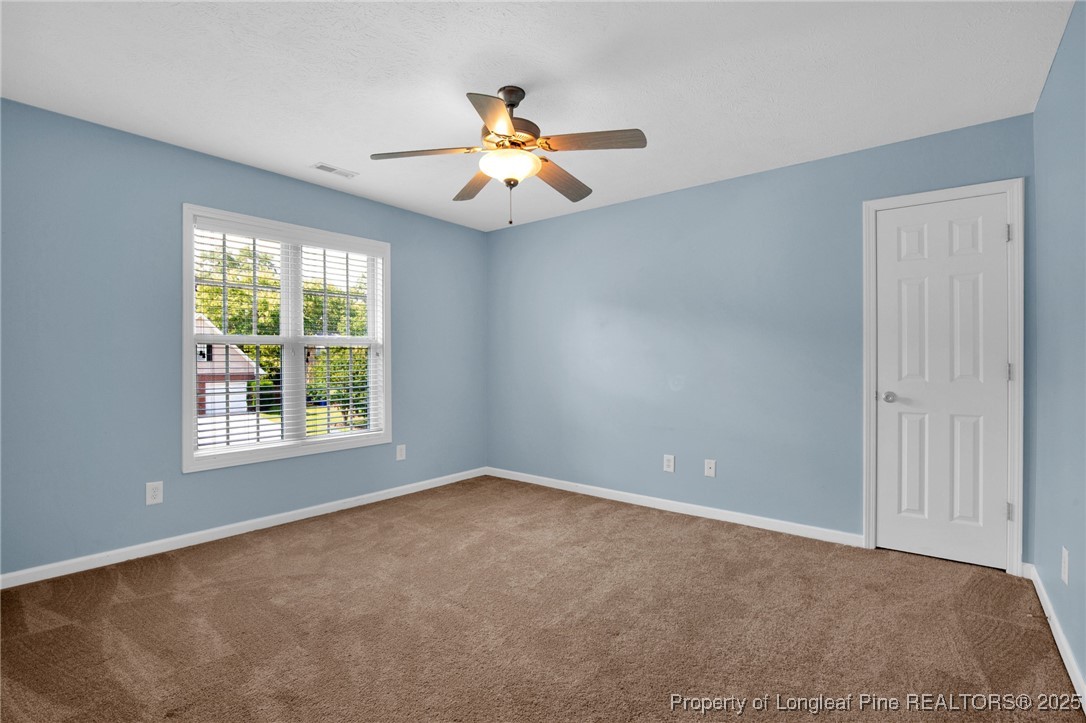 3803 Talus Road