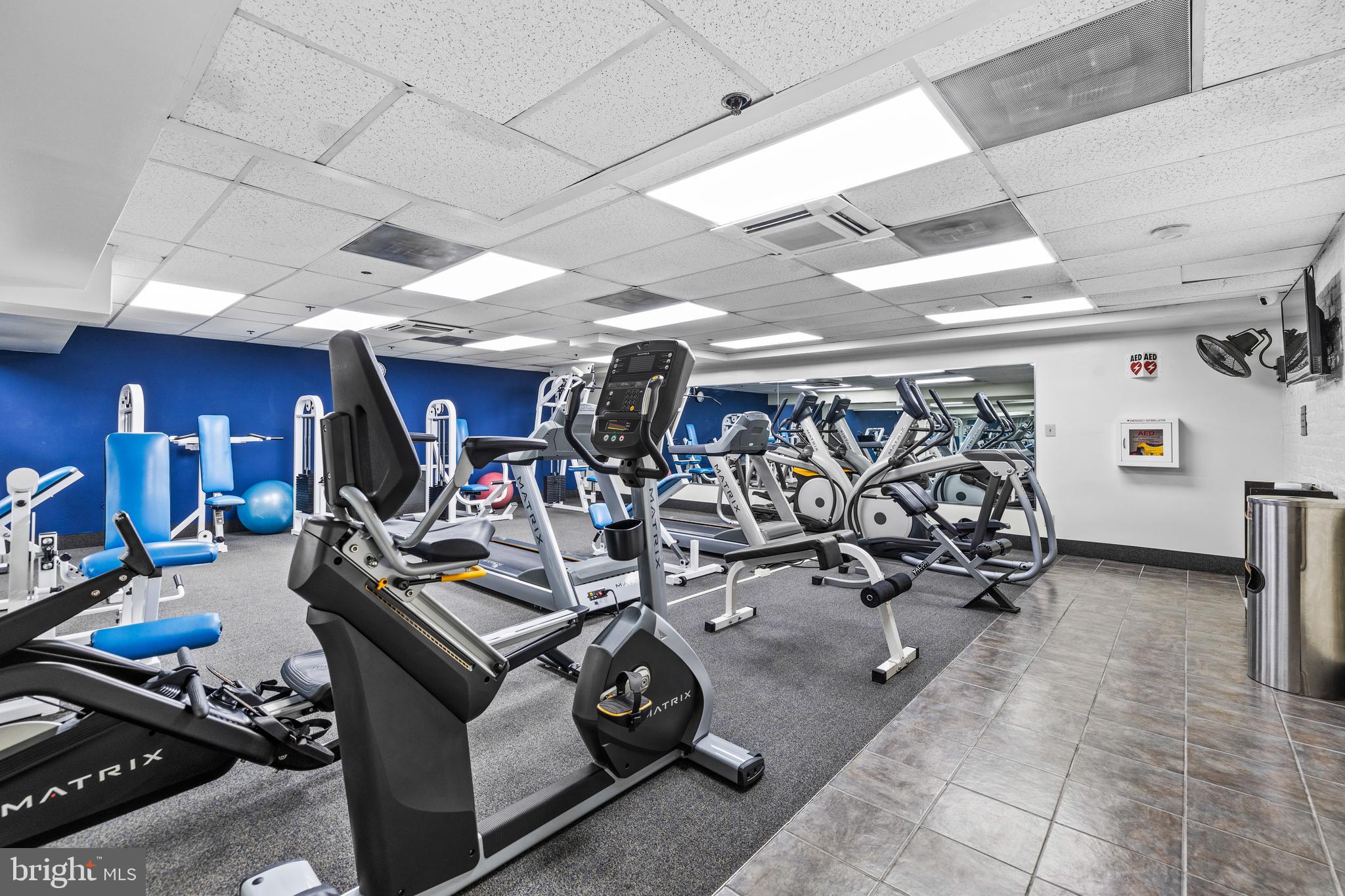 1000 FELL STREET Unit: 206