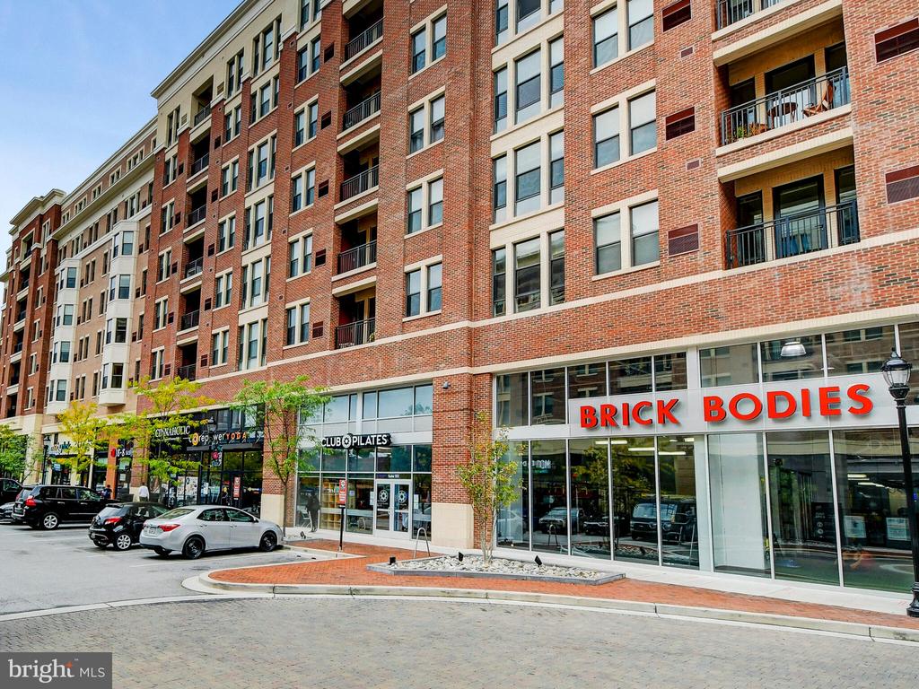 3704 N Charles St N #505