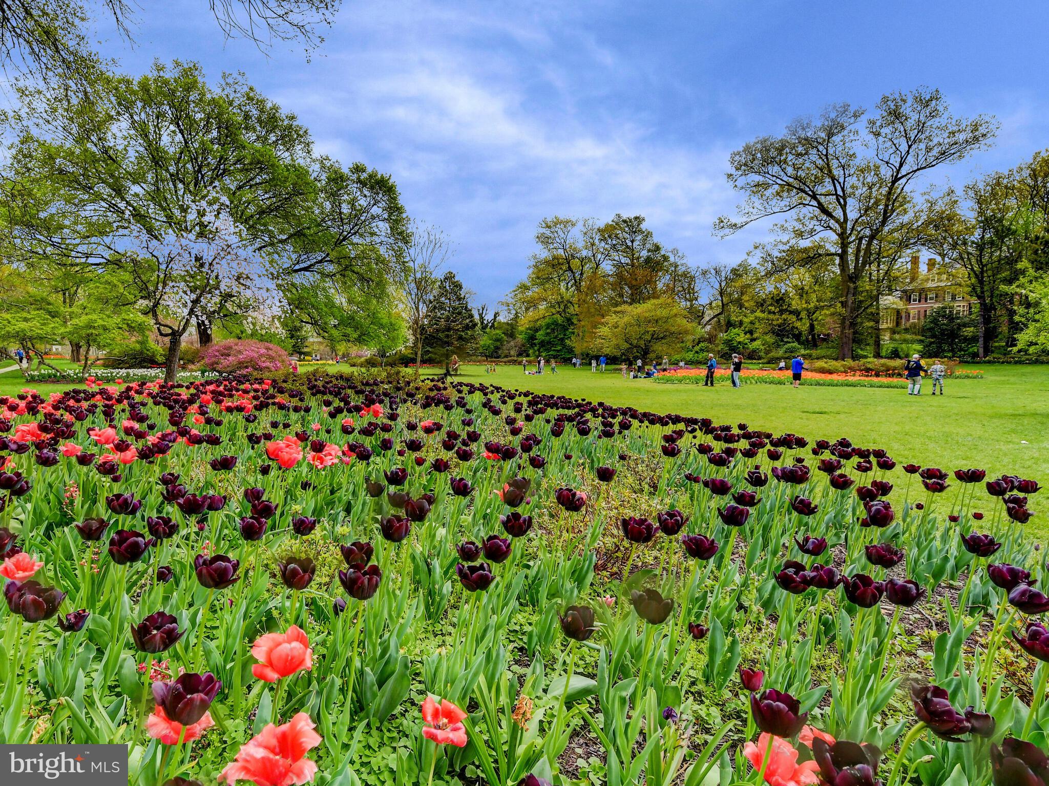 3704 N Charles St N #505