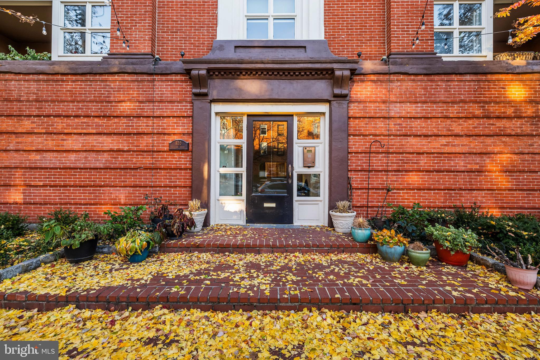 820 William Street #5