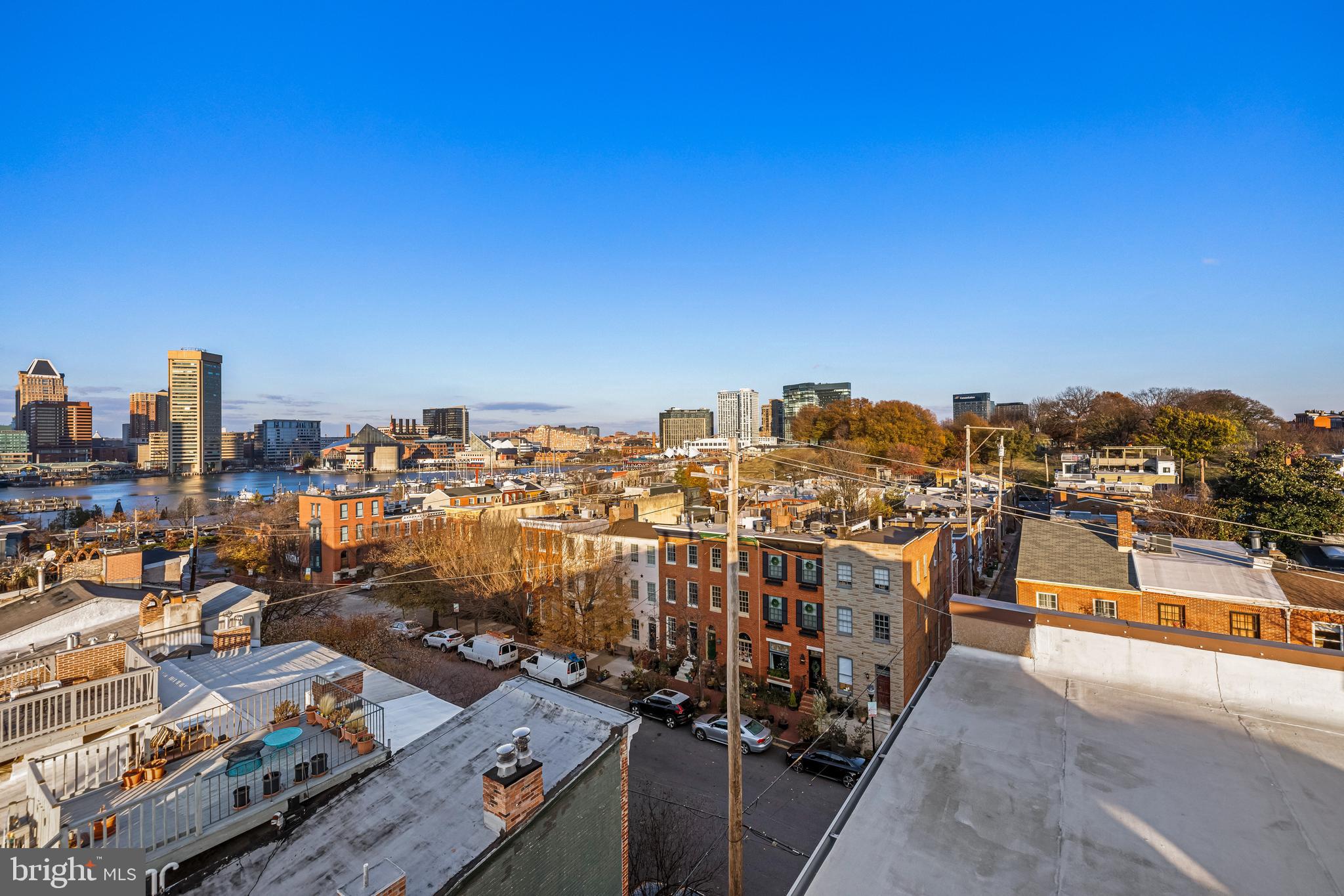 820 William Street #5