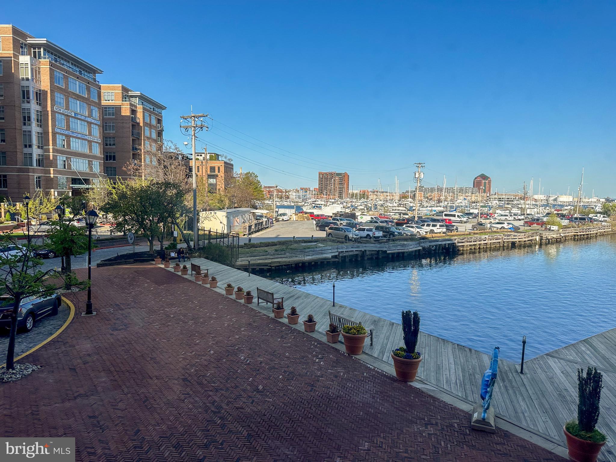 1000 Fell St #224