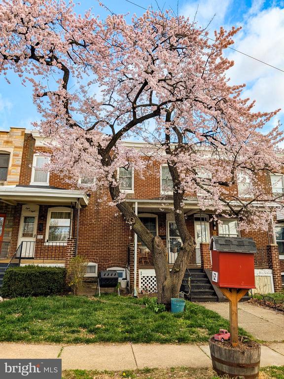 806 W 32nd St