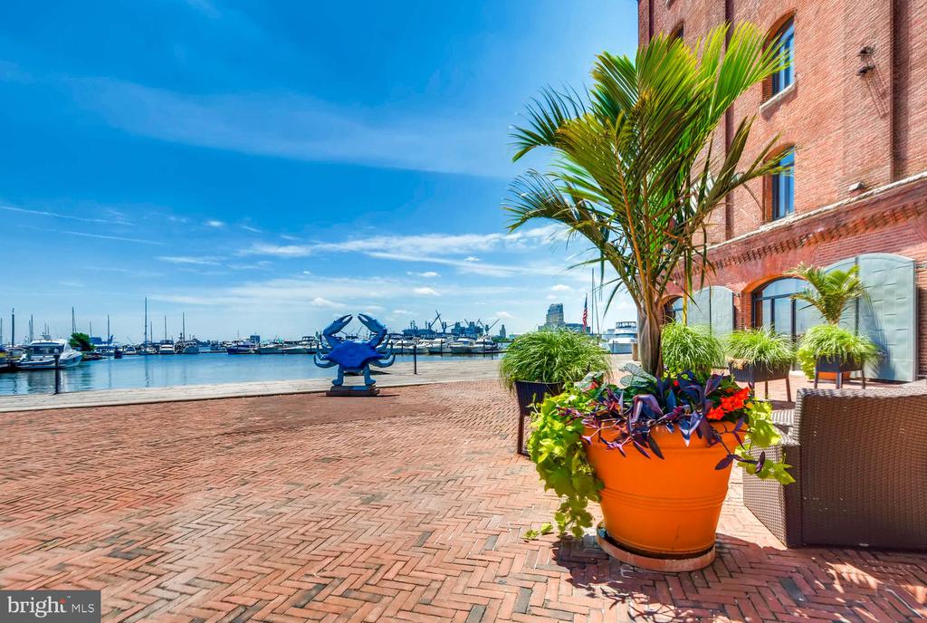 1000 FELL STREET Unit: 219