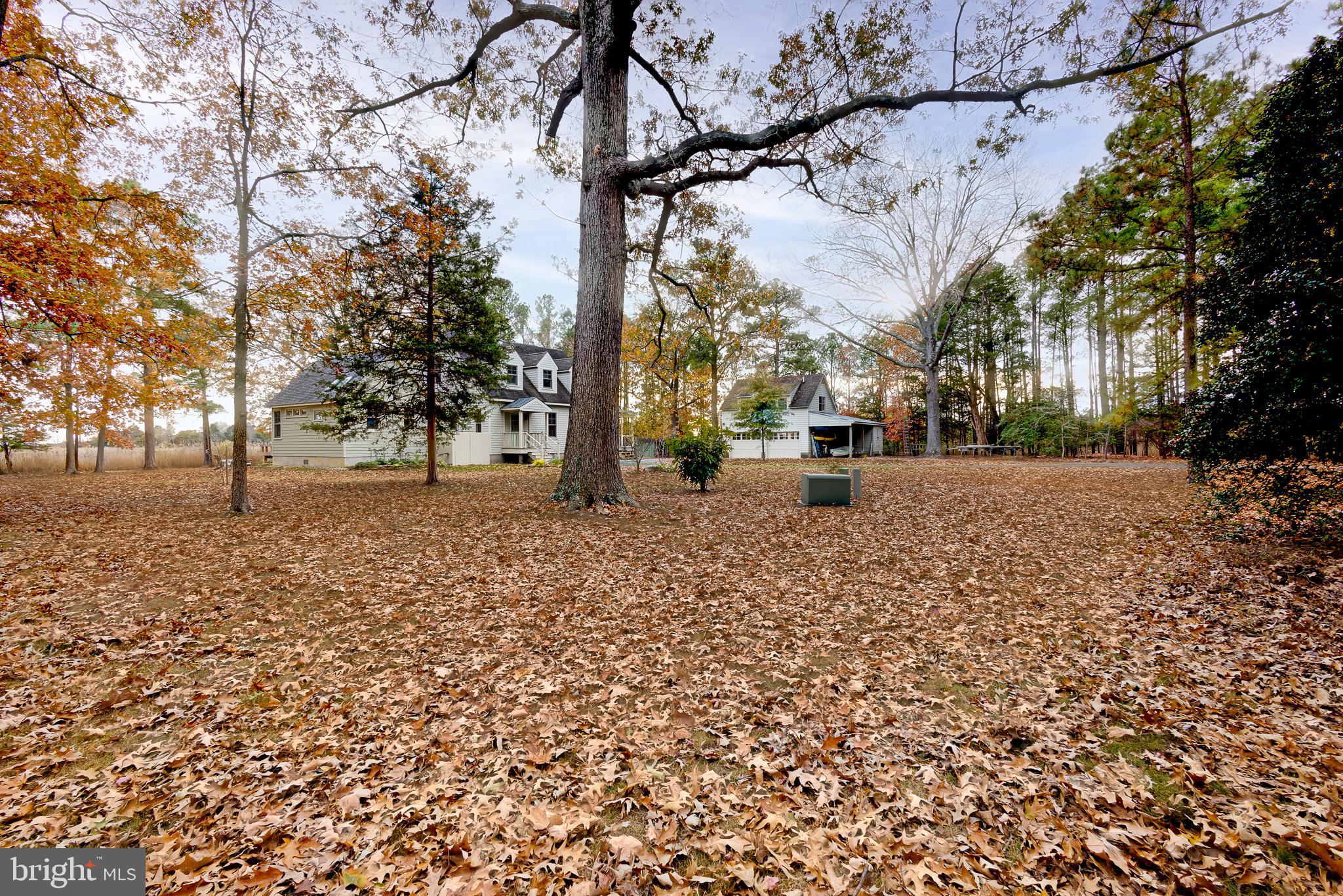 4491 BACHELORS POINT ROAD