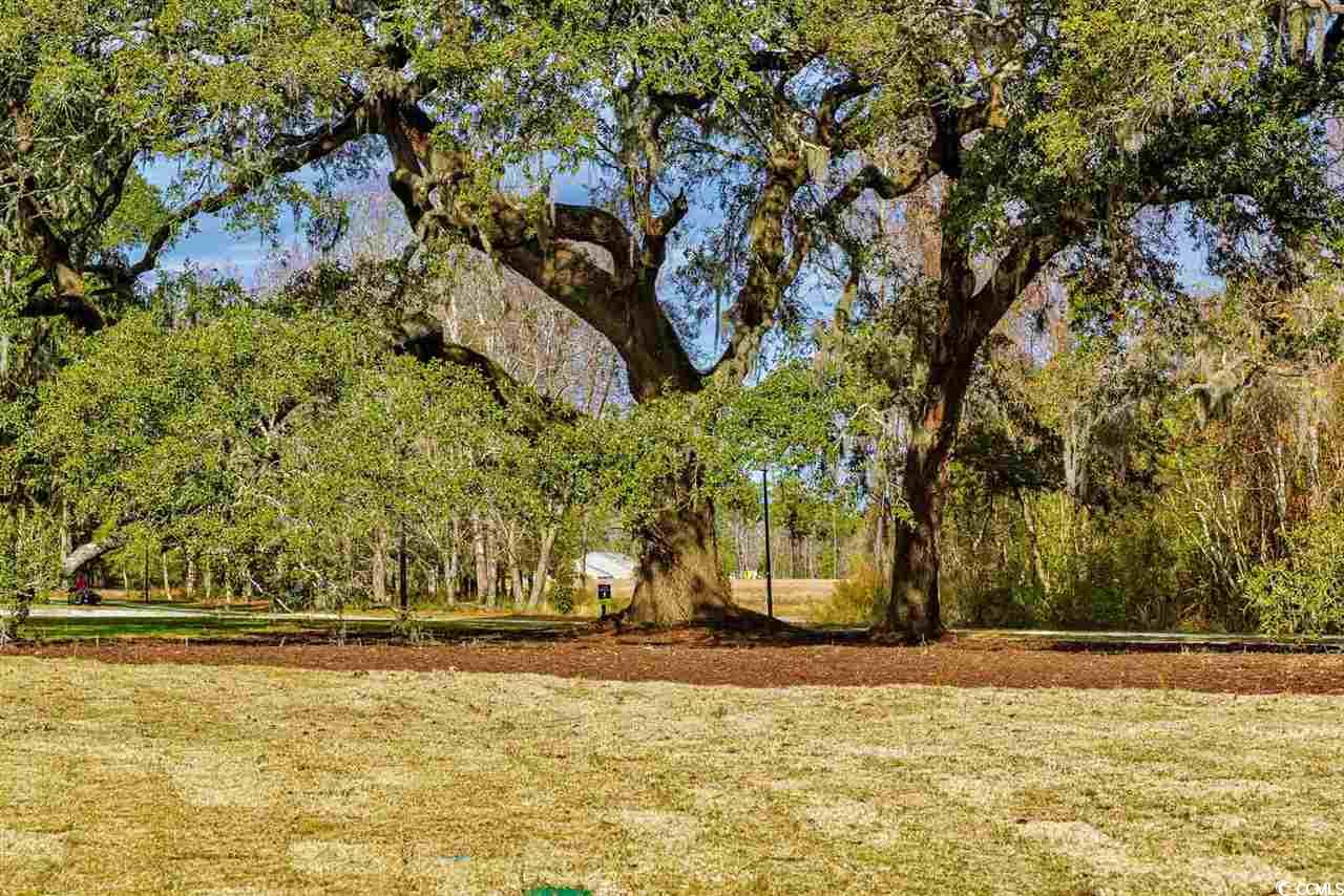 8036 Murrayfield Ct.