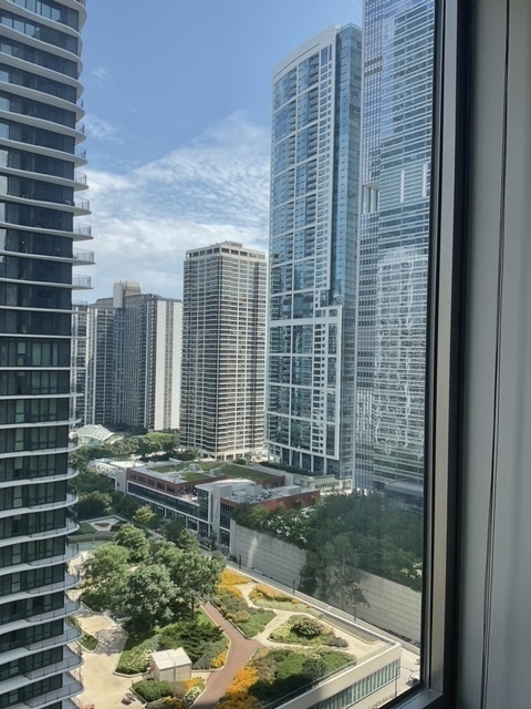 222 N Columbus Drive Unit: 2008