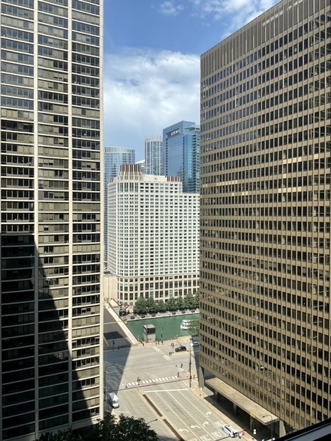 222 N Columbus Drive Unit: 2008