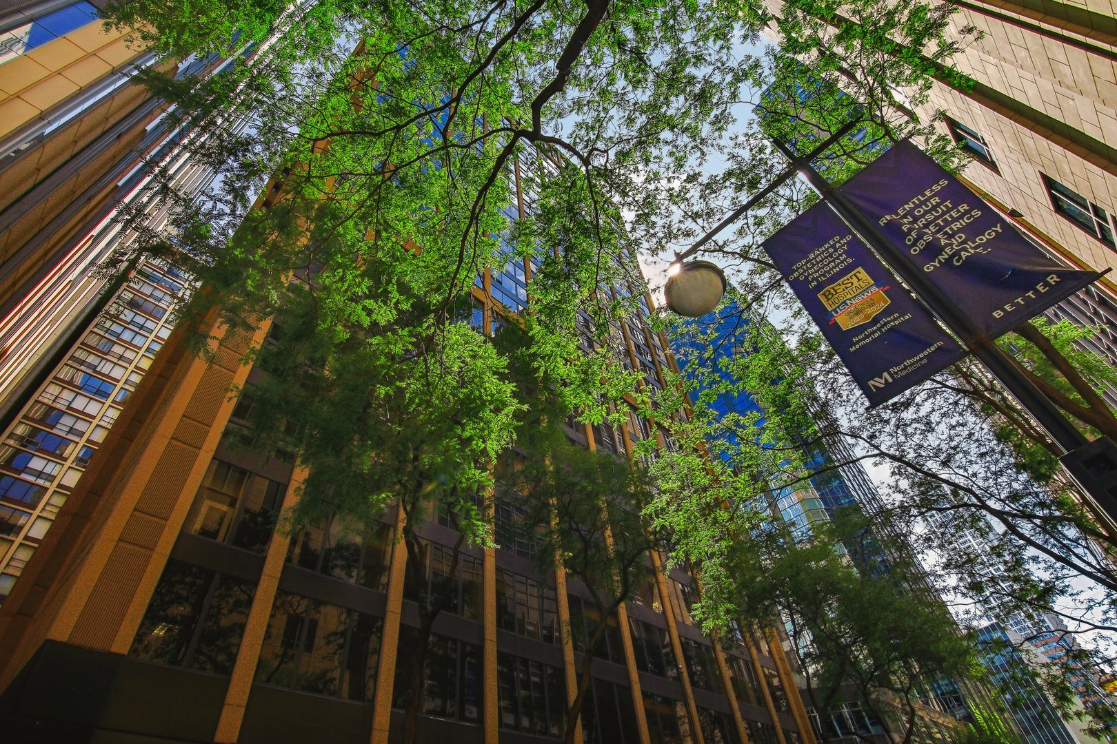 233 E ERIE Street Unit: 2201