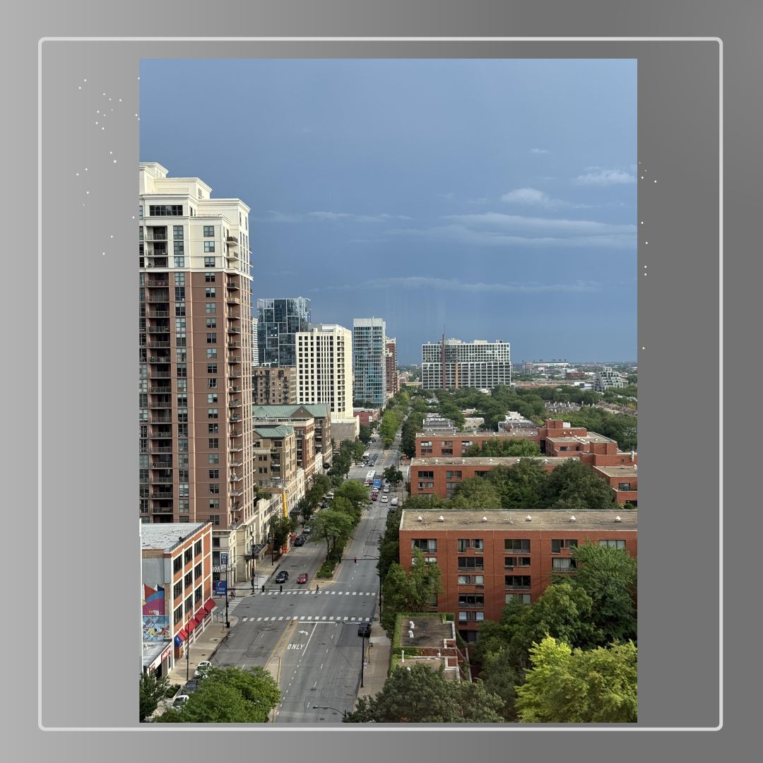 899 S PLYMOUTH Court Unit: 1408