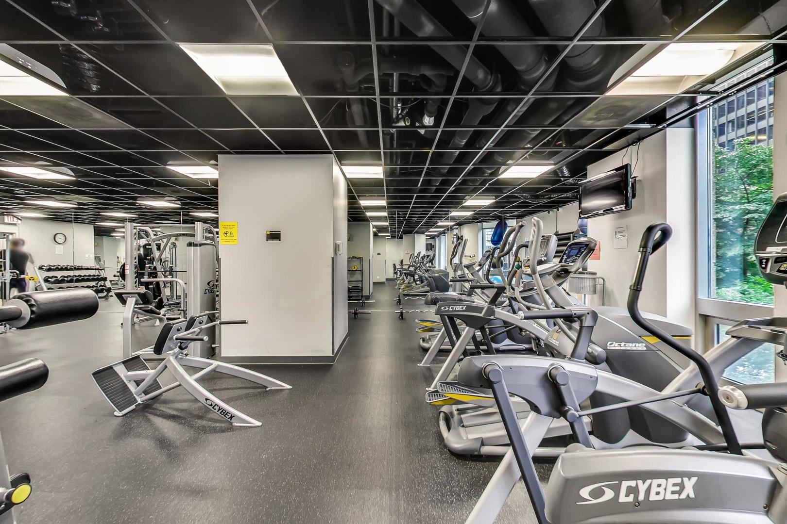 Condominium gym with rows of Cybex cardio machines beside large windows.