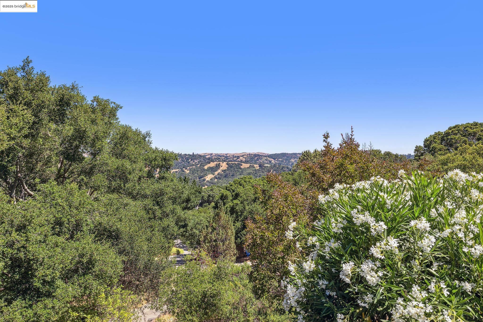 271 Monte Vista Ridge Rd