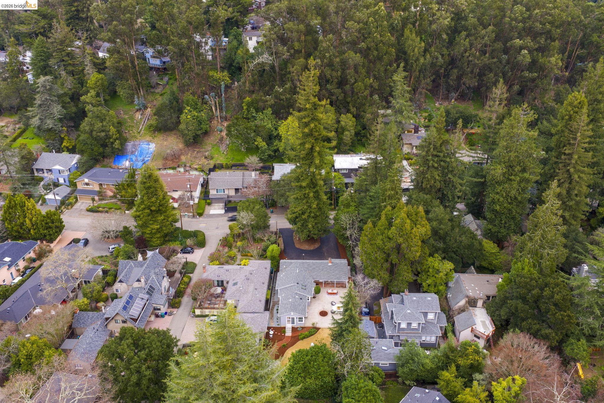 1509 Mountain Blvd